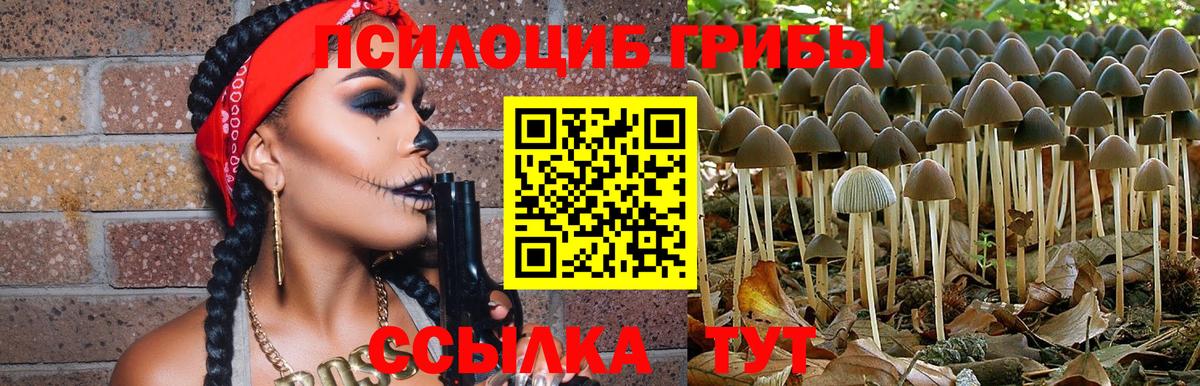 Зима  Галлюциногенные грибы Psilocybine cubensis  Вход с VPN 