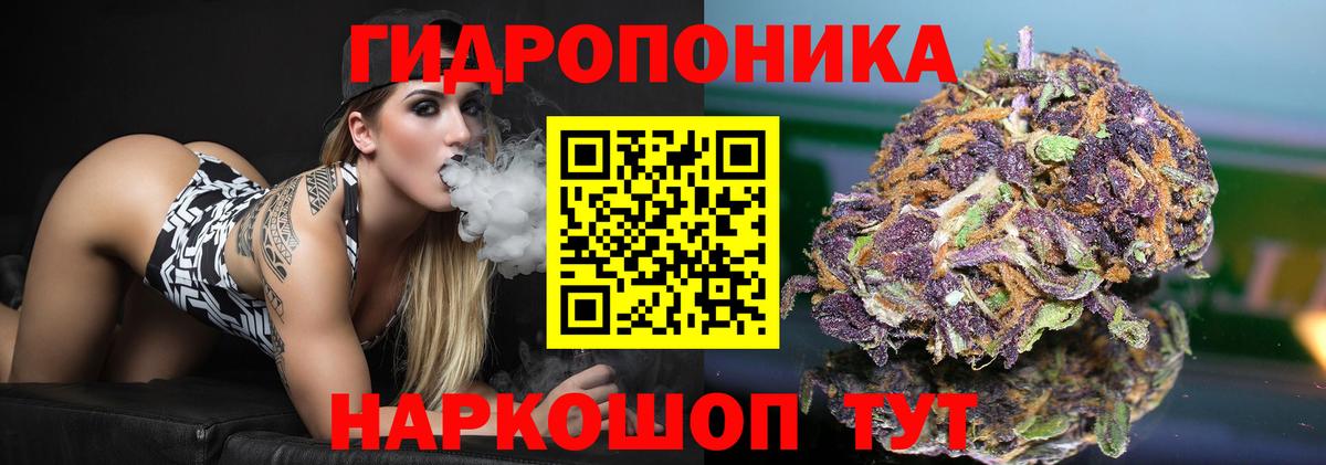Зима  Канабис планчик  Вход с VPN  Конопля Amnesia  Бошки марихуана AK-47 